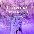 이n바이 이미지