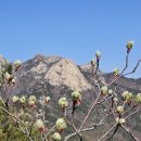 점봉농장 이미지