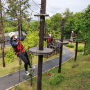 불암산더불어숲 이미지