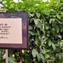 추구농장 이미지