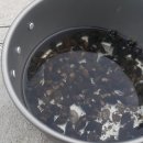 두밀리낚시터 이미지