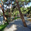 섬지캠핑장 이미지