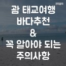 행운과도둑 | 괌 태교여행 후기 ④ | 괌 바다 추천부터 주의사항까지