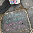 합천군공설봉안담 | 2026 합천벚꽃마라톤 10K