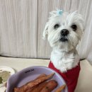 견바라기 이미지