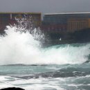 예래동 가가동 머니투데이