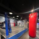 하나복싱클럽 이미지