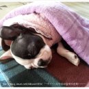 아기랑우리랑