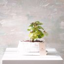 더(The)하얀 이미지