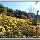 힐링정원 이미지