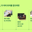 위즈시스