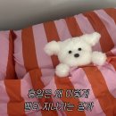 눈썰매장매점 이미지
