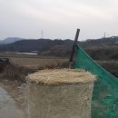 신만농장 이미지