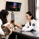 소노펫 동물병원 이미지