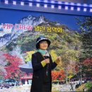 열린음악회7080 Daum카페