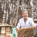 꿀벌 동물병원 이미지