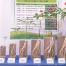 안성유기농협동조합