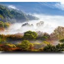 비밀의 정원 이미지