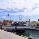 꽃바위 외국인 특화거리 이미지