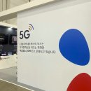 올리브 안전 이미지