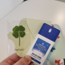 GLASTAR 안경 이미지