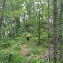 용담마을길 이미지