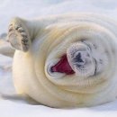 공감 골프 이미지