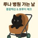 햇빛 동물병원 이미지