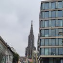 독일 울름 교환학생 일지 : 생필품 구매