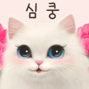동부LED조명