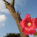 정안농장 이미지