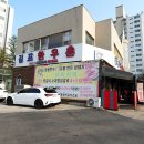 안성맞춤한우촌 | 김포 감정동 한우맛집 직원들과 회식한 1++ 명품한우 김포한우촌
