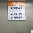 대나무체형교정 이미지