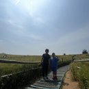 만춘농장 Daum카페