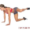 덩키 이미지