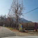 춘천흑염소도축장 이미지