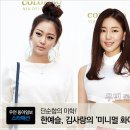 미니멀시즌 이미지