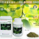 한국클로렐라 이미지