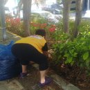 동포어린이공원 이미지