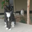 성동구청 뒤편 이미지