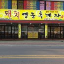 돼지영농후계자하대점