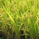 하늘곳간 이미지