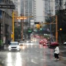 남구-004 이미지