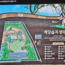 예당습지생태공원 | 예당습지 생태공원