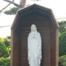 뽑기구역 이미지