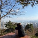청주 부모산성 쉬운 등산코스와 고양이를 만날 수 있는 연화사