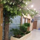 남양주나무요양병원 이미지