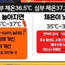 체온UP다이어트 이미지