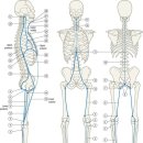 연재한의원 이미지