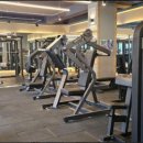 고릴라GYM 이미지